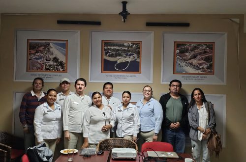 sycoma_taller_gallito_marino