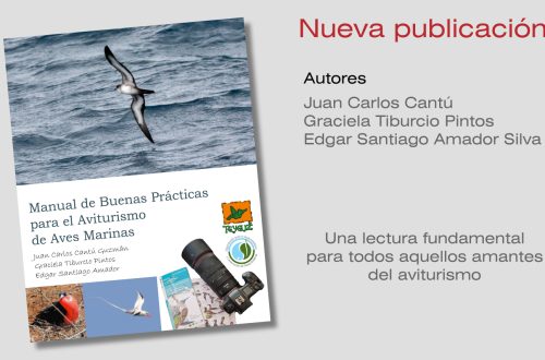 sycoma_publicaciones