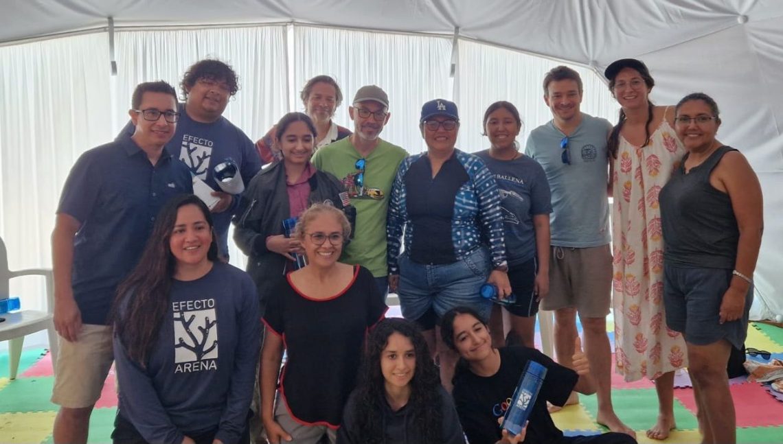 sycoma_efecto_arena_corales