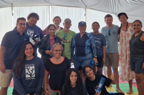 sycoma_efecto_arena_corales